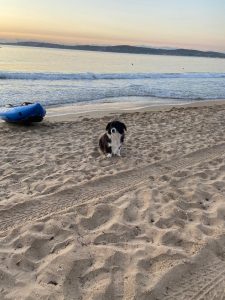 Китай очаква растеж от 4,5-5% през 2026 г., тъй като гъвкавата цел закрепва очакванията