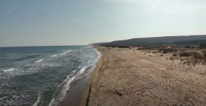 Забрана за движение на дребни преживни животни в цялата страна