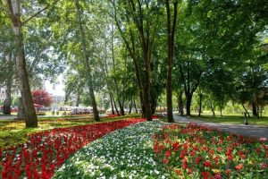 ХИНА: Над 100 производители на цветя и 28 чуждестранни изложители ще участват в 59-ото издание на „Флораарт“ в Загреб