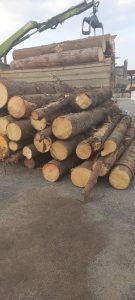 Тенденциите в ледения и снежния туризъм вървят нагоре