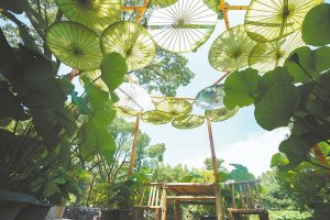 Използването на LNG от Sinopec намалява емисиите с 15 милиона тона