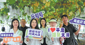 Шенжен и възходът на физическия AI · TechNode