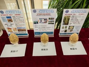 Китайски изследователи откриват гени на семена за повишаване на продоволствената сигурност