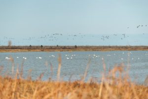 ООН и частният сектор създават устойчив патрул в резерват