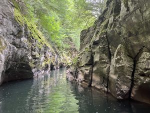 Бъдещето на AGI не трябва да идва за сметка на нашата планета · TechNode